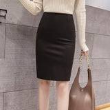  Women  Pencil Skirts Elegant Fashion Autumn High Wiast  Skirt