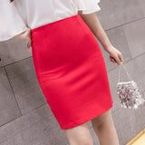  Women  Pencil Skirts Elegant Fashion Autumn High Wiast  Skirt