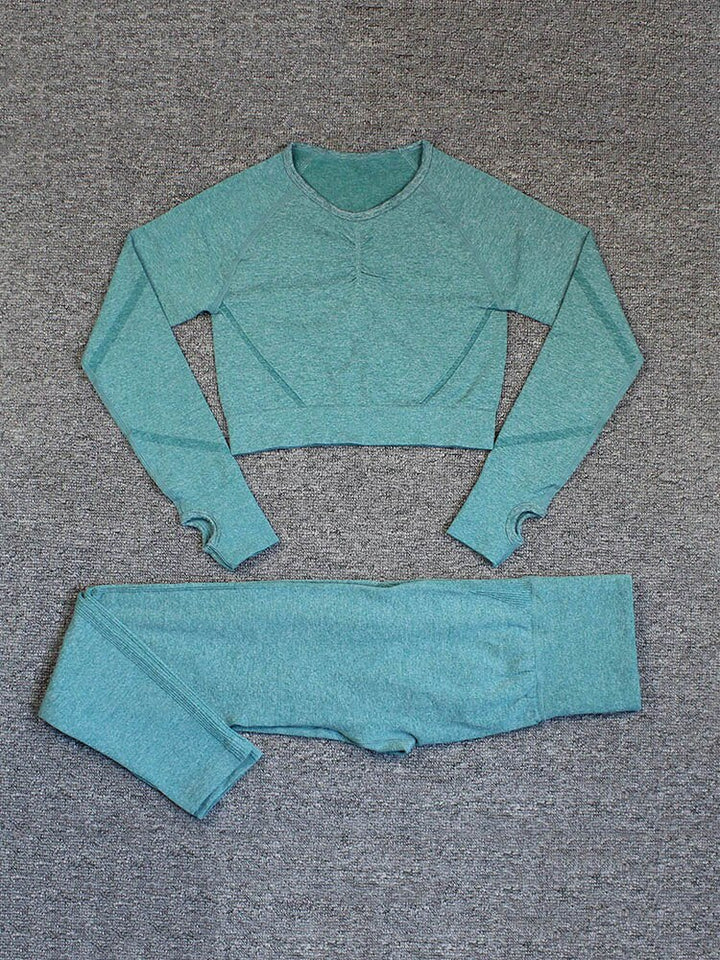 Seamless Long Sleeve Gym T-Shirts Women Spandex Crop Top Slim Tee Running Fitnes Yoga Fitness Sports Shirts Workout Clothes
